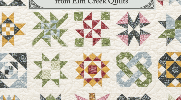 Cover art for the book Harriet's Journey from Elm Creek Quilts by Jennifer Chiaverini